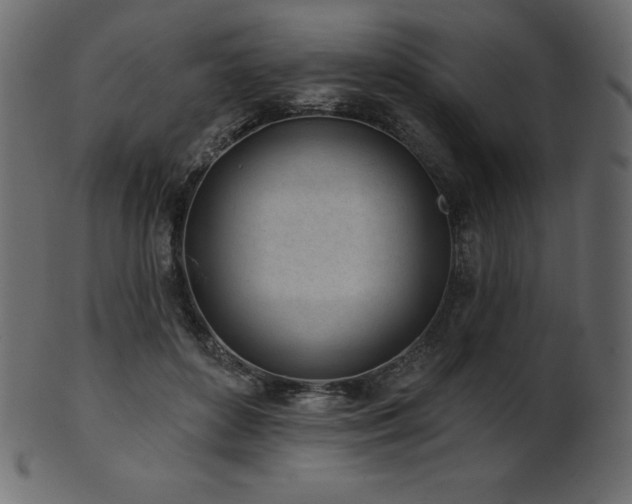 X0000102020504200807181329