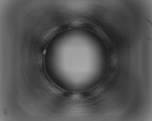 X0000102020505200807181329