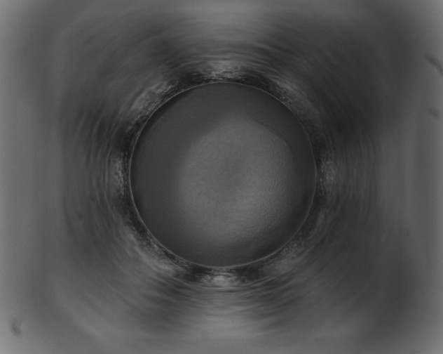 X0000102020506200807181329