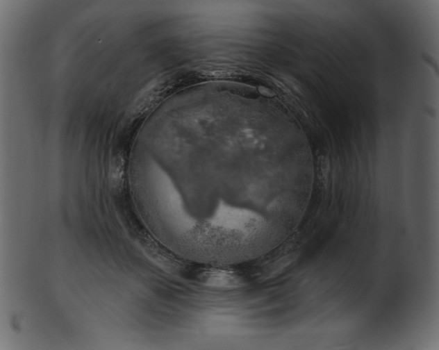 X0000102020507200807181329