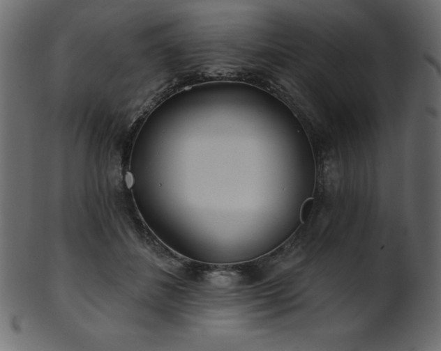X0000102020508200807181329