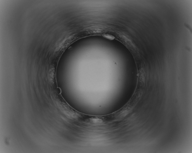 X0000102020509200807181329