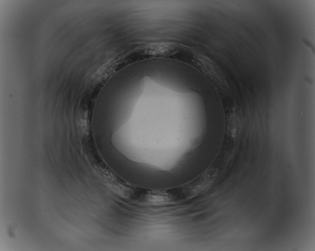 X0000102020510200807181329