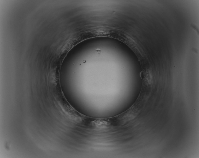 X0000102020512200807181329