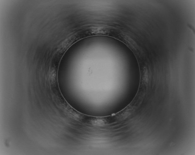 X0000102020513200807181329