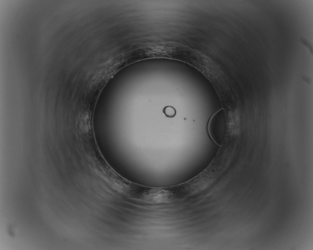 X0000102020514200807181329