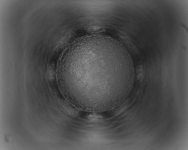 X0000102020515200807181329