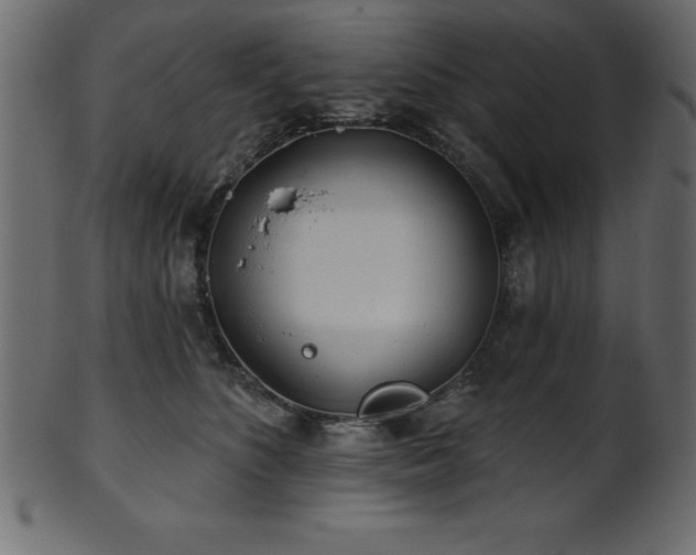 X0000102020516200807181329