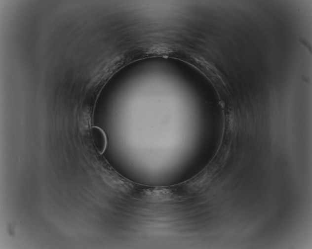 X0000102020517200807181329