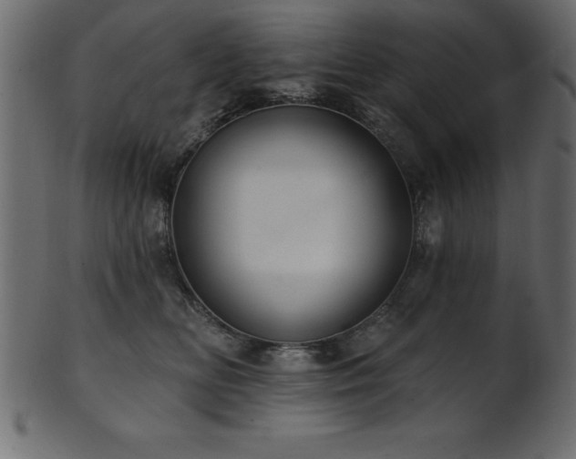 X0000102020518200807181329