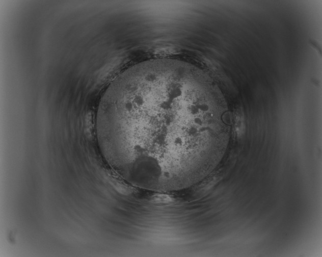 X0000102020519200807181329