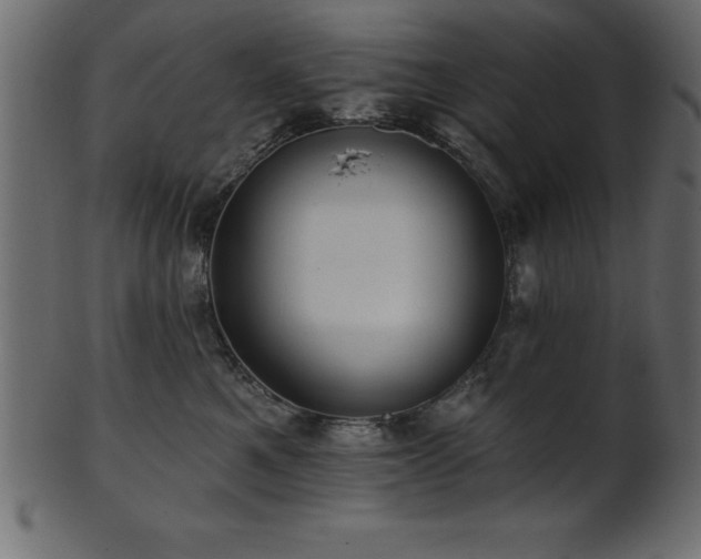 X0000102020521200807181329