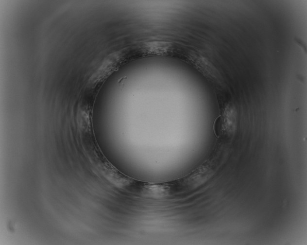 X0000102020522200807181329