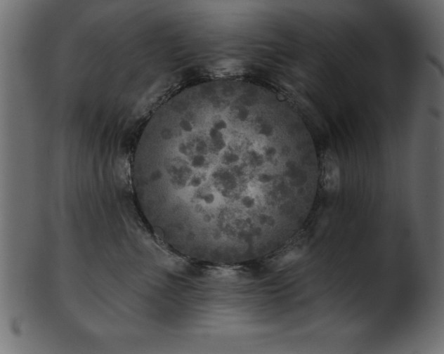X0000102020523200807181329