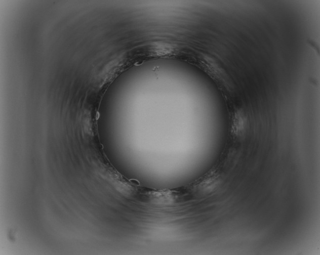 X0000102020524200807181329