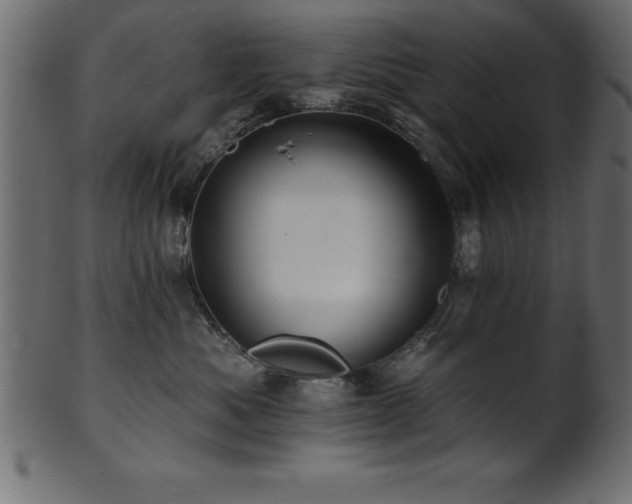 X0000102020525200807181329