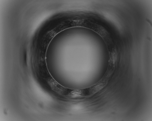 X0000102020526200807181329