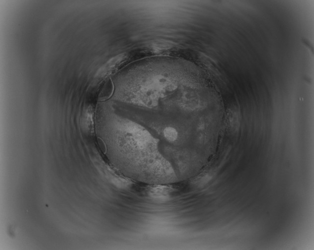 X0000102020527200807181329