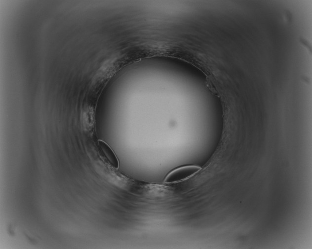 X0000102020528200807181329