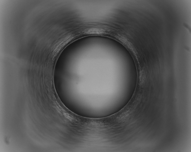 X0000102020529200807181328
