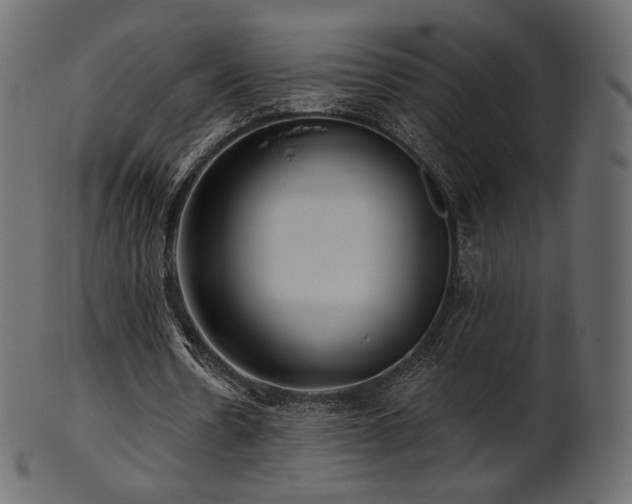 X0000102020530200807181328