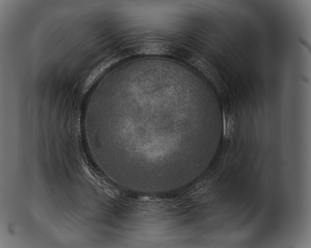 X0000102020531200807181328