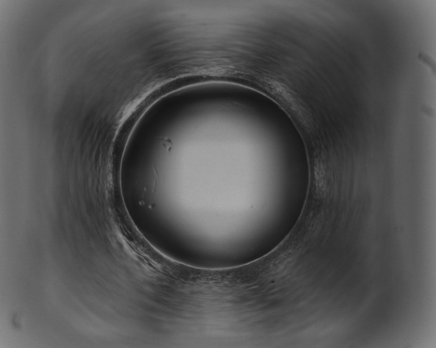 X0000102020532200807181328