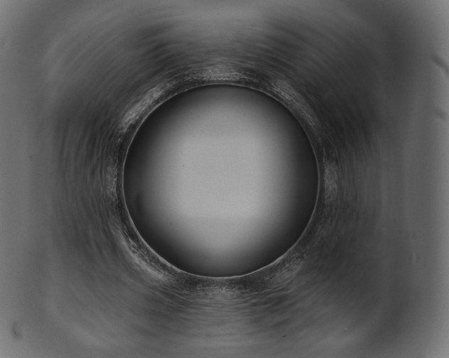 X0000102020533200807181329