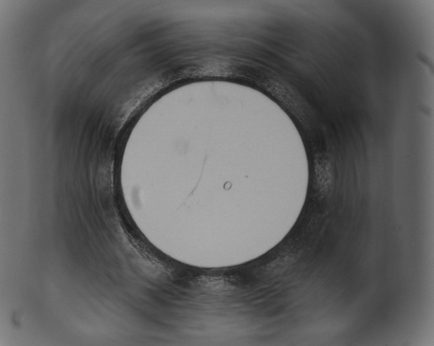 X0000102020534200807181329