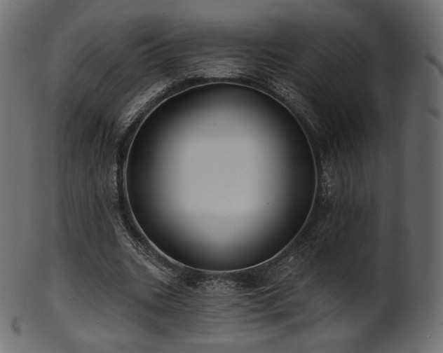 X0000102020535200807181329