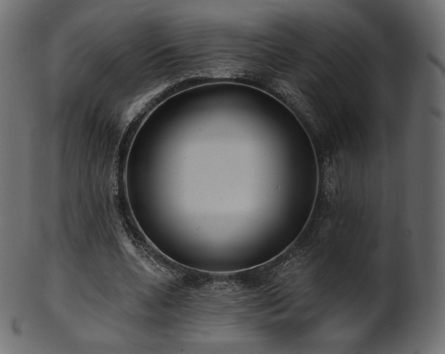 X0000102020536200807181329