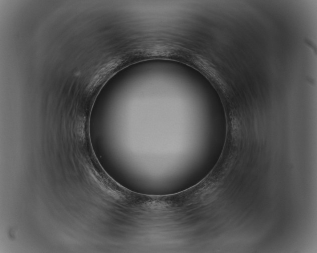 X0000102020537200807181329