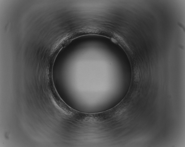 X0000102020538200807181329