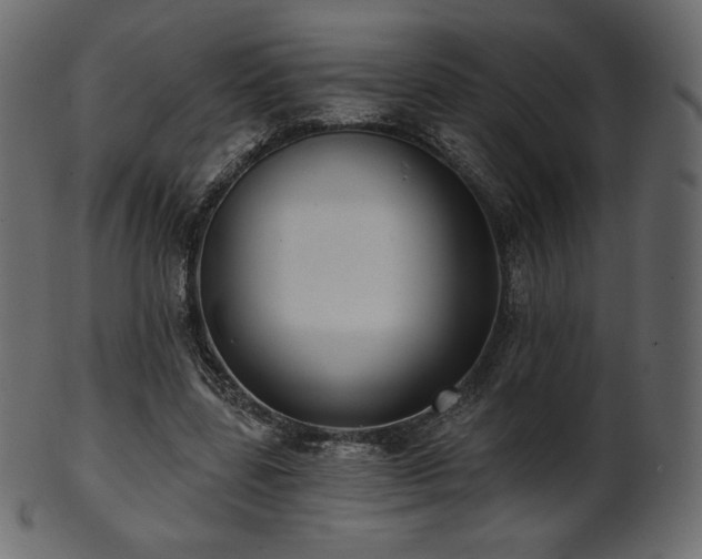 X0000102020539200807181329