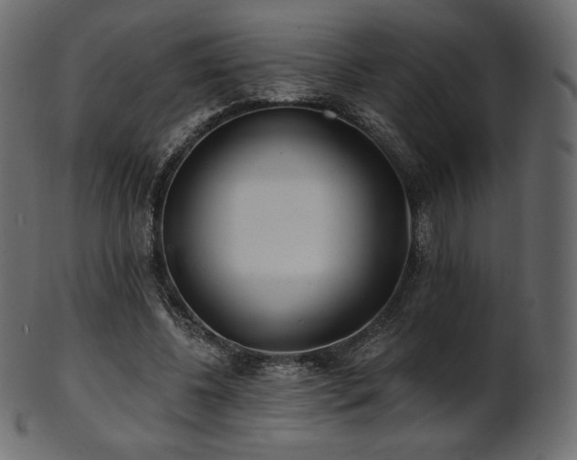 X0000102020540200807181329