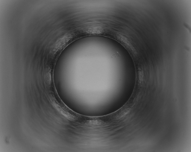 X0000102020541200807181329