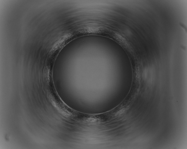 X0000102020542200807181329