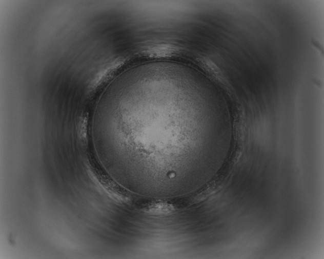 X0000102020543200807181329