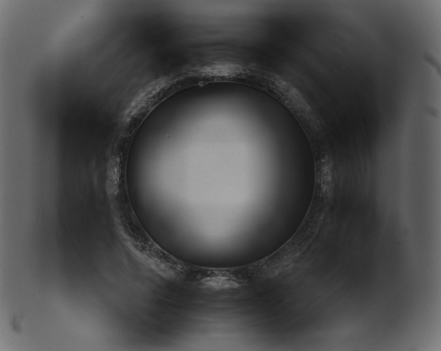 X0000102020544200807181329