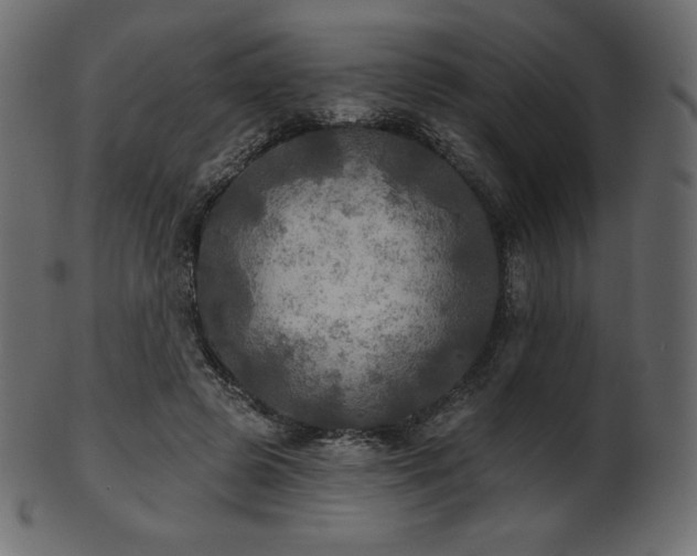 X0000102020545200807181329