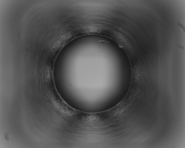 X0000102020546200807181329