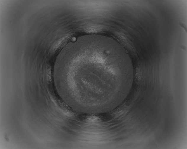 X0000102020547200807181329