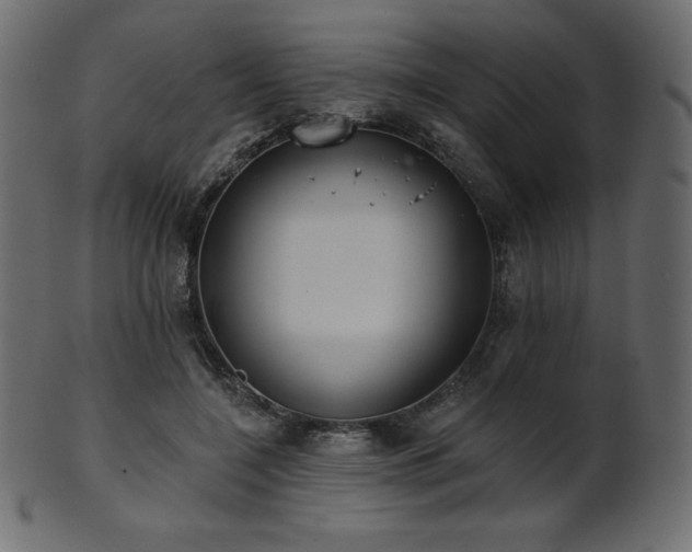 X0000102020548200807181329