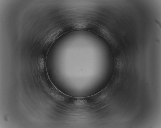 X0000102020549200807181329