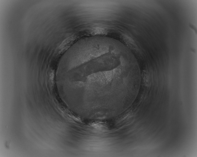 X0000102020550200807181329