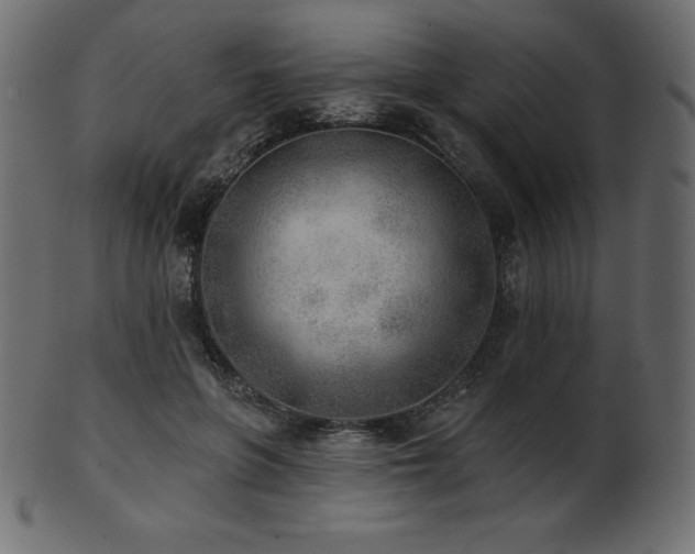 X0000102020551200807181329