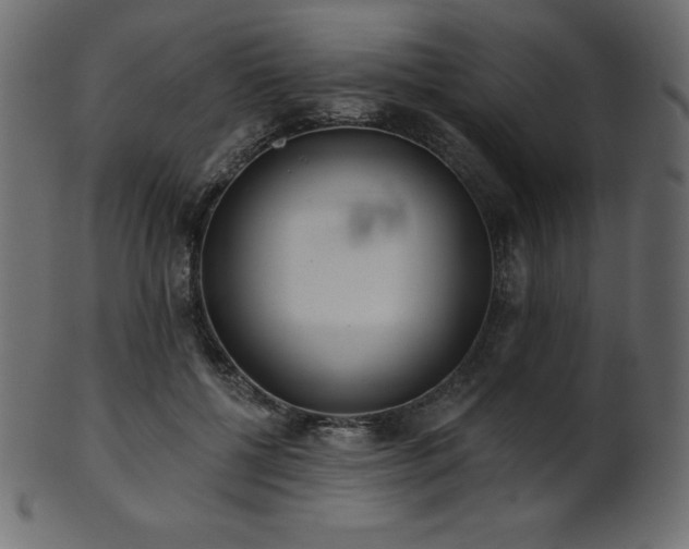 X0000102020552200807181329