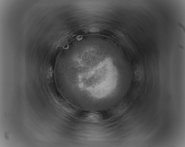 X0000102020555200807181329