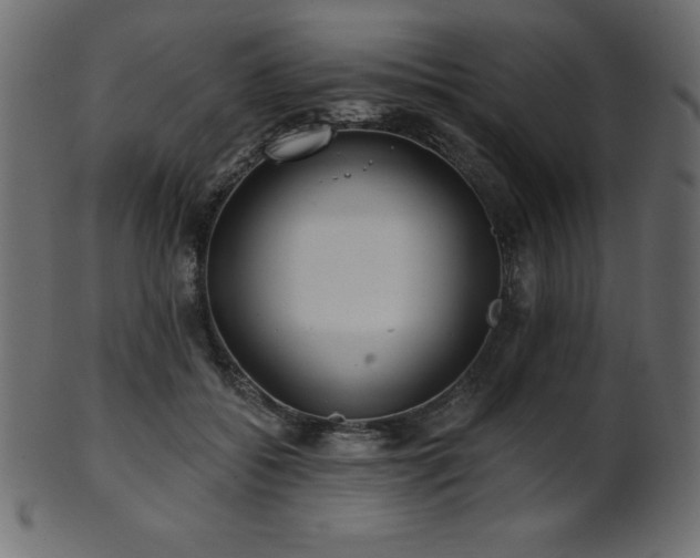 X0000102020556200807181329