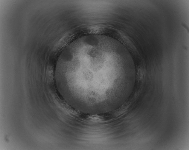 X0000102020557200807181329